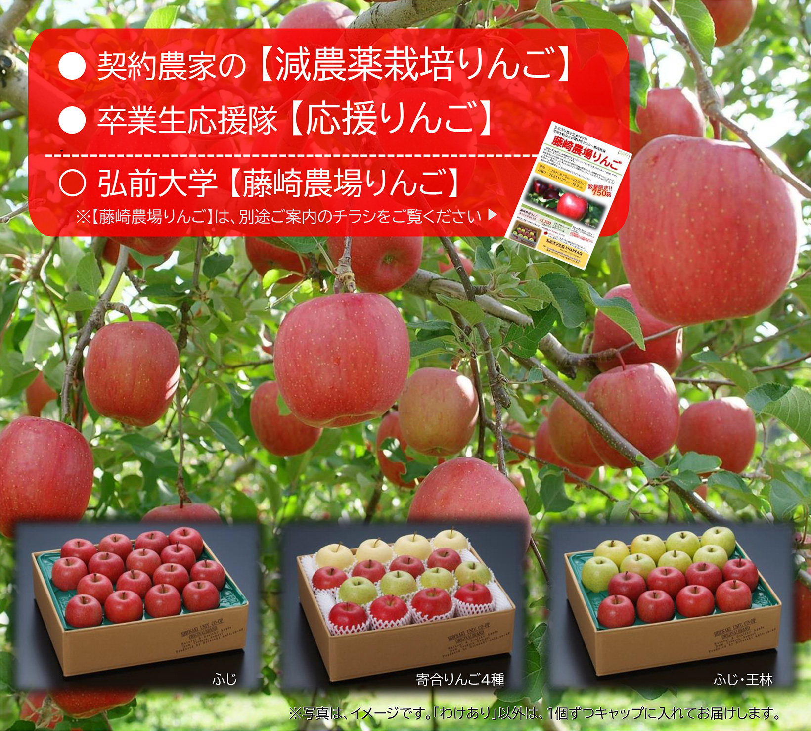 契約農家の減農薬栽培りんご、卒業生応援隊の応援りんご、藤崎農場りんごを取り扱っています