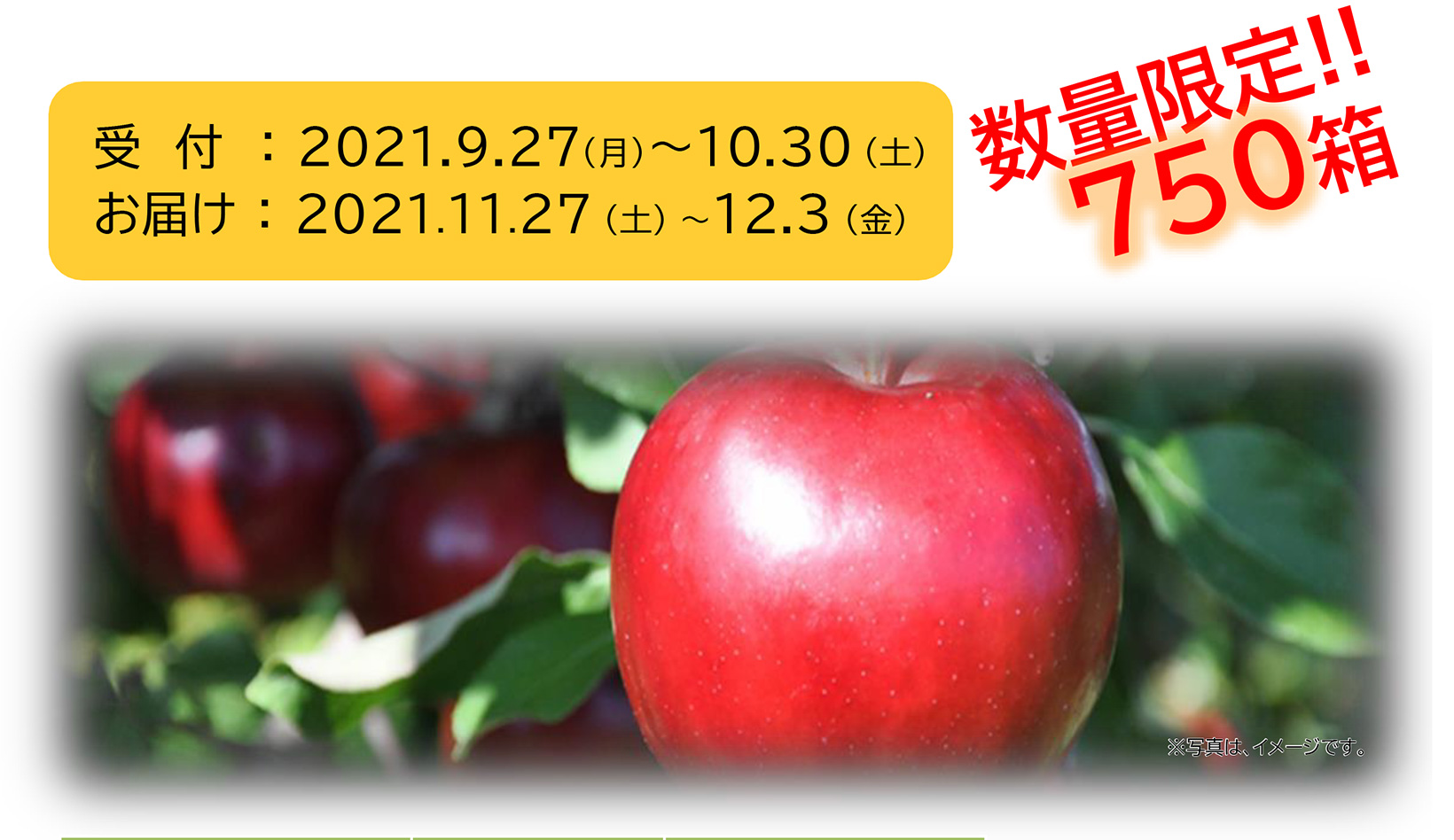 藤崎農場りんご・数量限定750箱