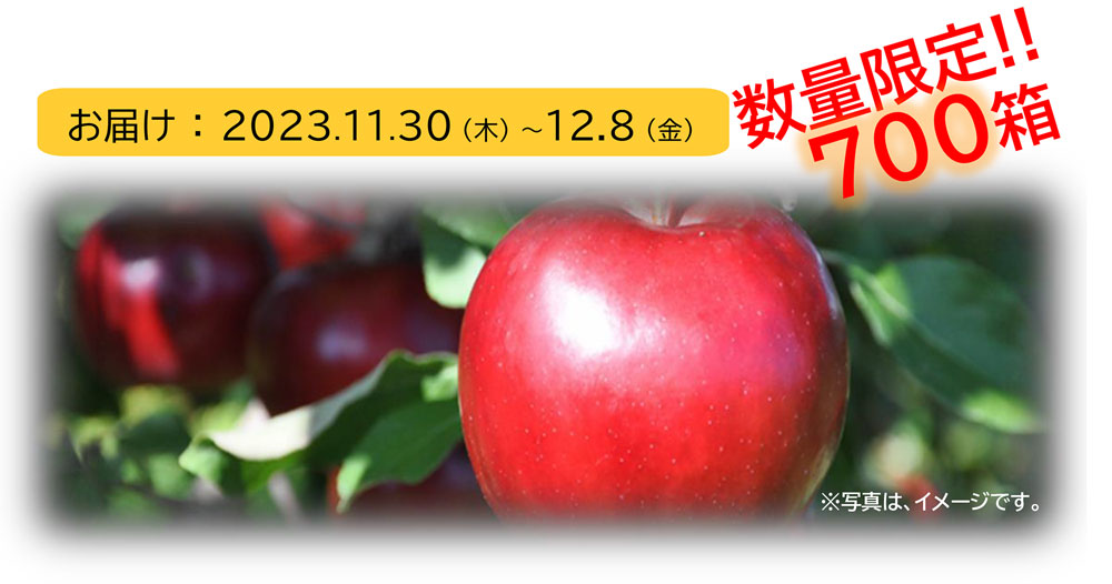 藤崎農場りんご・数量限定700箱